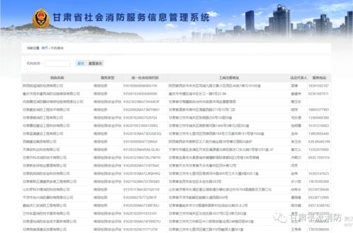 平?jīng)鱿?學(xué)黨史辦實(shí)事，手把手教你查詢消防技術(shù)服務(wù)機(jī)構(gòu)